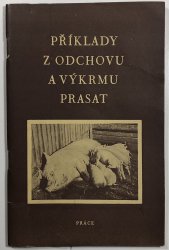 Příklady z odchovu a výkrmu prasat - 