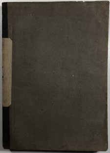 Stenografické zprávy sněmu Českého 1864 (německy, česky)