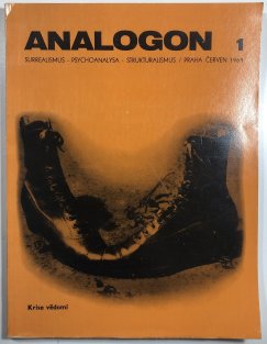 Analogon 1 - Krise vědomí