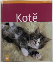 Kotě - 
