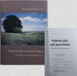 Polární záře nad pastvištěm