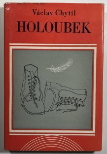 Holoubek