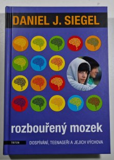 Rozbouřený mozek
