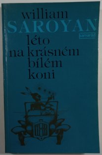 Léto na krásném bílém koni