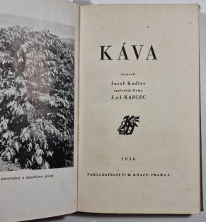 Káva