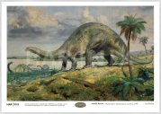 Zdeněk BURIAN - Brontosaurus (Apatosaurus excelsus) (1950) - A4 - 