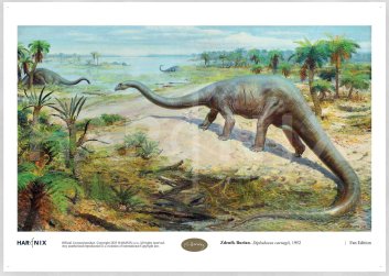 Zdeněk BURIAN - Diplodocus carnegii (1952) - A4