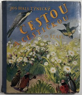 Cestou a cestičkou
