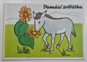 Domácí zvířátka - omalovánky - 