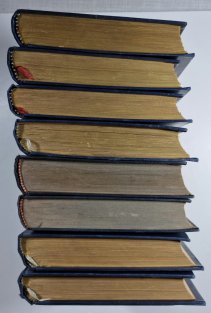 Ve stínu padišaha I. - VIII.