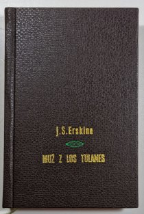 Muž z Los Tulanes I. - Poslední z tlupy Billy Kida