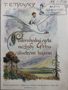 Podivuhodná cesta nezbedy Petra divokými husami