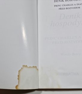 Deník hospodyně - Princ Charles a Diana před rozvodem