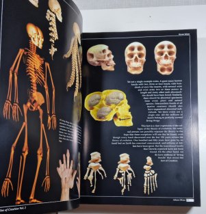The Atlas of Creation 2