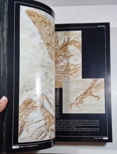 The Atlas of Creation 2