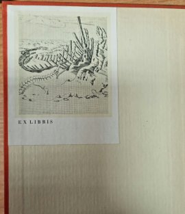 Sen a skutečnost - Zrození Odyssey