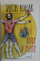 Kůly v plotě - 