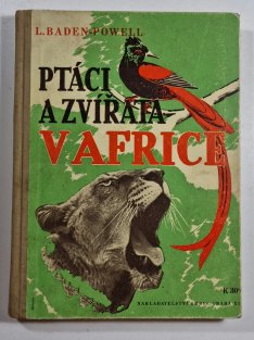 Ptáci a zvířata v Africe