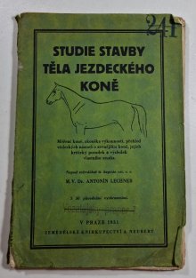 Studie stavby těla jezdeckého koně