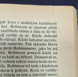 Robinson Crusoe