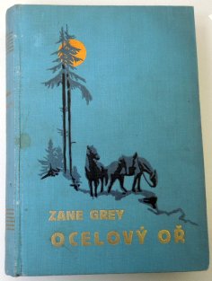 Ocelový oř