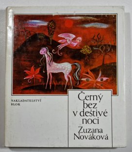 Černý bez v deštivé noci 