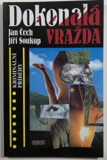 Dokonalá vražda