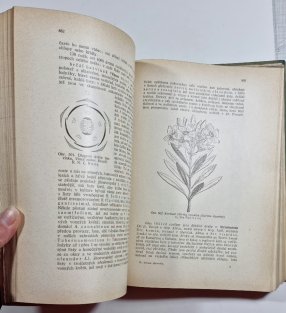 Botanika zemědělská II. Botanika speciální (část první - Rostliny výtrusné a nahosemenné)