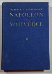 Napoleon jako vojevůdce II. - 