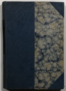 V srdci pralesa