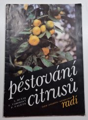 Pěstování citrusů - 