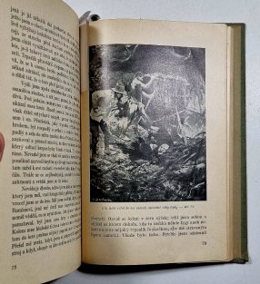 Z přítmý pralesa I.+ II. / V tropických pralesích