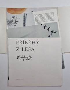 Příběhy z lesa