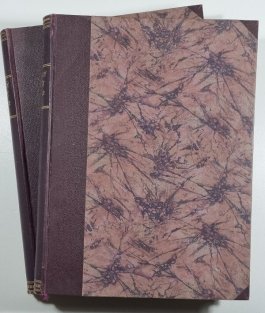 Český svět - ročník XVIII. (1921-22) - I.+II. pololetí