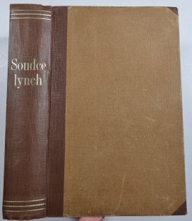 Soudce Lynch I. - II.