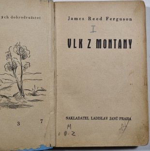 Vlk z Montany