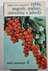 Malá pomologie 5 - Rybíz, angrešt, maliny, ostružiny a jahody - 