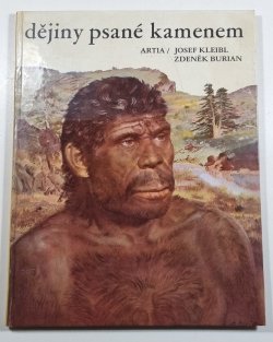 Dějiny psané kamenem
