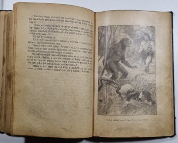 Tarzan  I. 