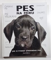 Pes na míru - Jak si správně vybrat svého psa