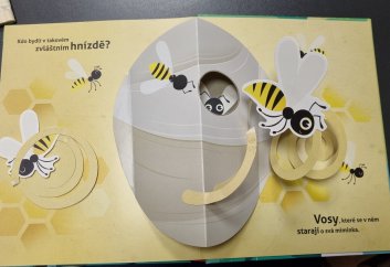 V lese - Kde bydlí zvířátka