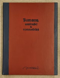 Šumava umírající a romantická (obří formát - 50x65 cm)