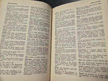 Etymologický slovník jazyka českého