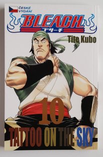 Bleach #10: Tattoo on the Sky