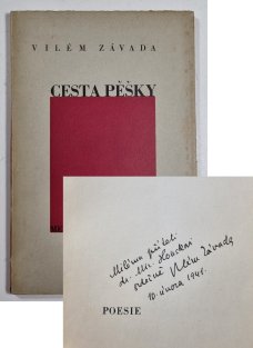 Cesta pěšky