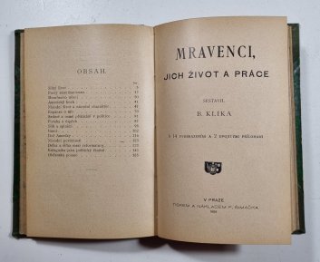 Silný život - úvahy a výzvy / Mravenci, jich život a práce