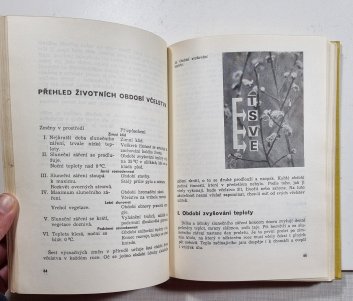 Zákonitosti života včelstva
