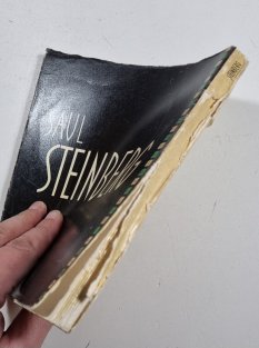 Steinberg