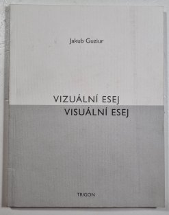 Vizuální esej / Visuální esej