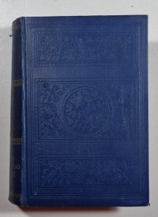 Román budoucího století (kniha I. a II.)